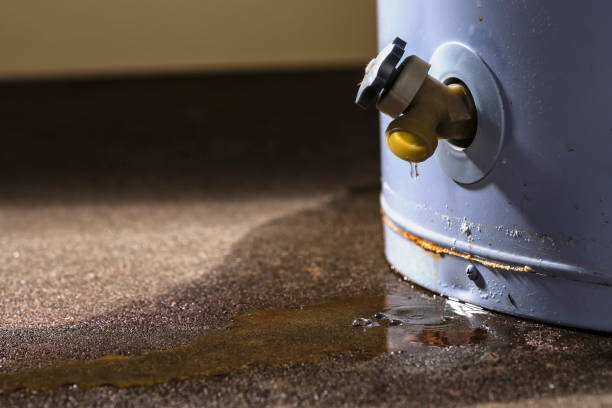 Professional Water damage restoration in Cypress Gardens, FL
