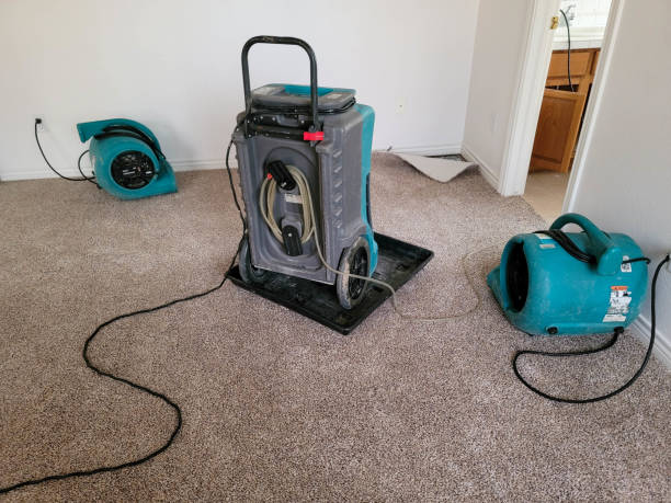  Cypress Gardens, FL Water damage restoration Pros