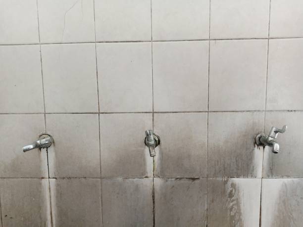 Best Ceiling water damage repair  in Cypress Gardens, FL