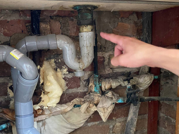 Best Local water damage restoration  in Cypress Gardens, FL